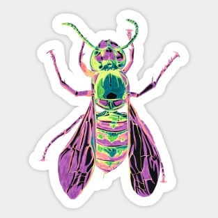 Yellowjacket Sticker